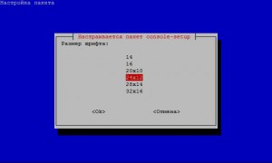 Выбор размера консольных шрифтов Linux